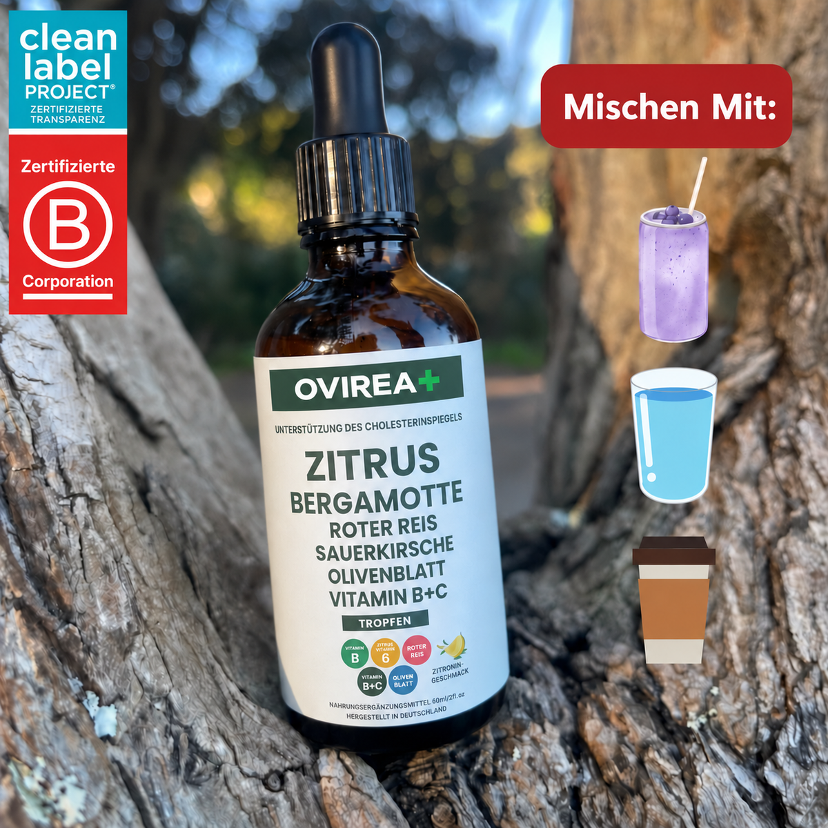 Oviera Natürliche Cholesterin-Reinigung mit rotem Hefereis