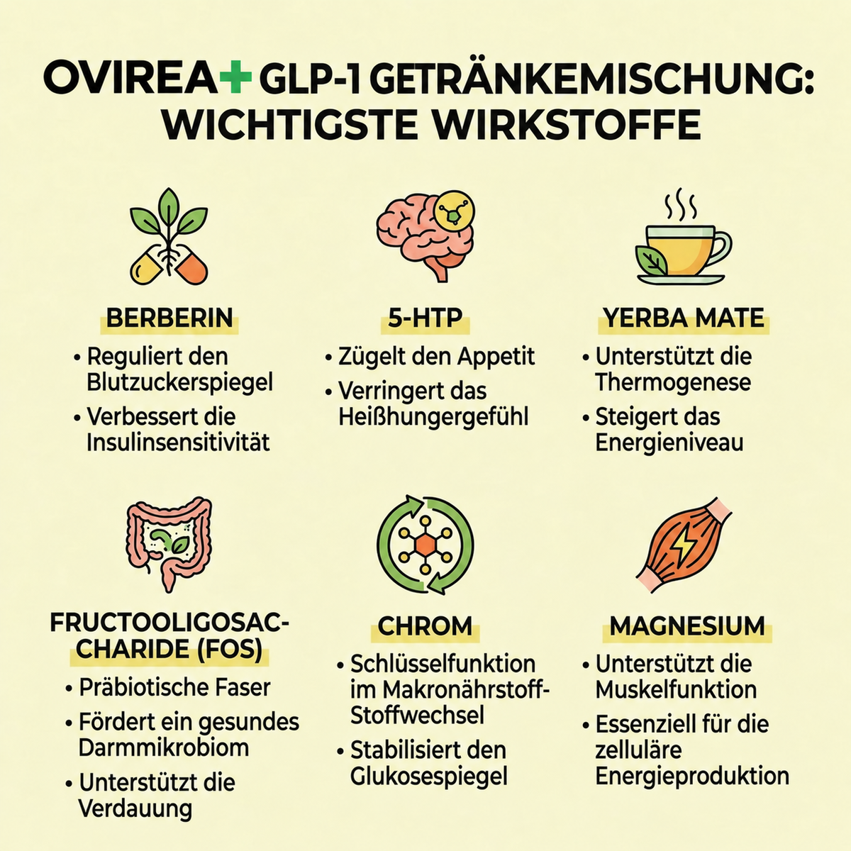 GLP-1 Abnehm-Mix-Drink