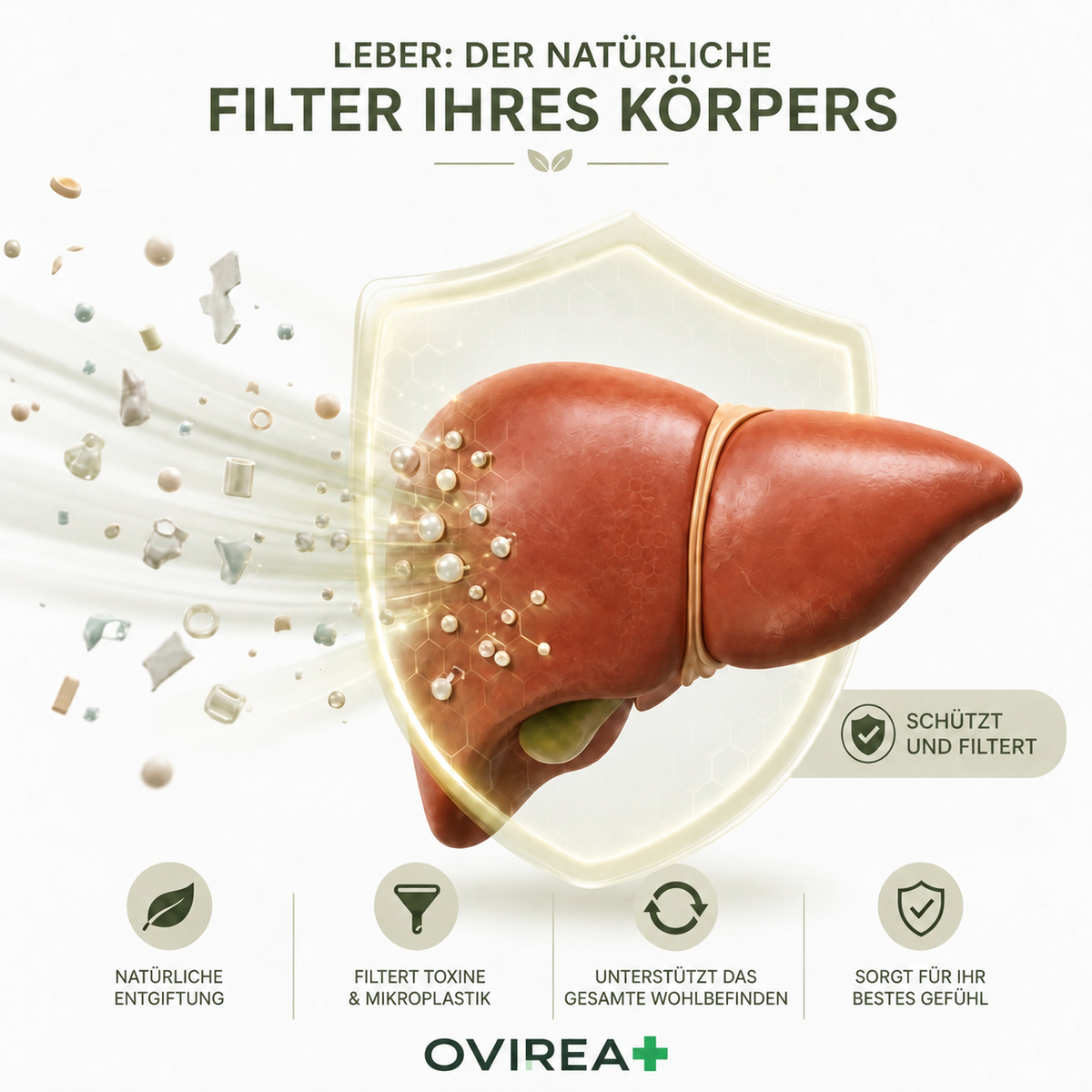 Kompletter Leber-Detox – 20:1
