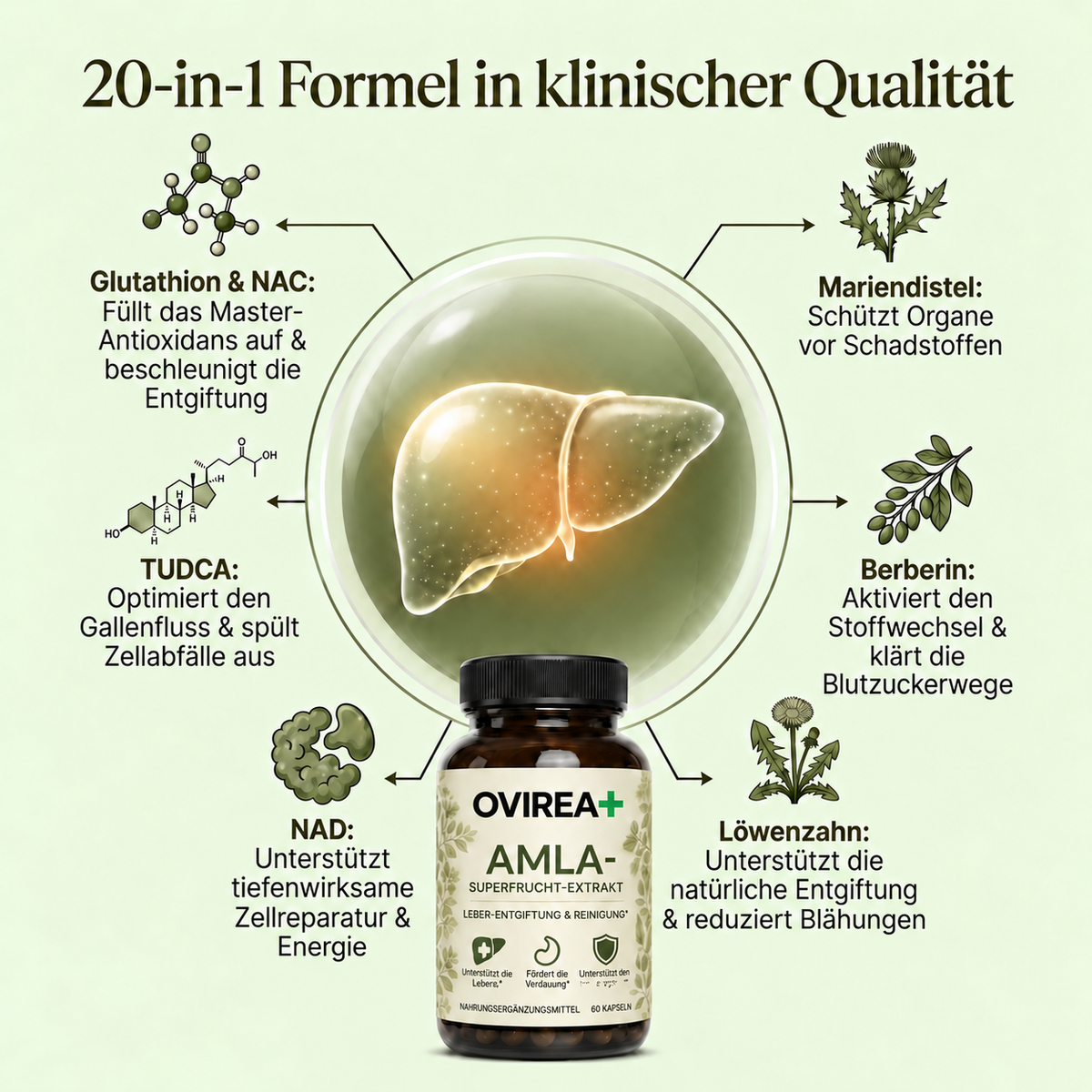Kompletter Leber-Detox – 20:1
